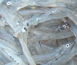 できるまで３－２