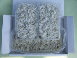 贈答用セット3000