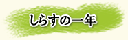 しらすの一年