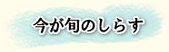 今が旬のしらす